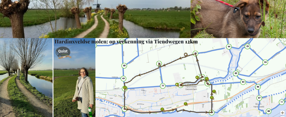 wandelroutes-omgeving-1100-x-450-px