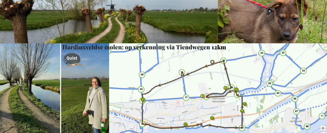 Wandelroute omgeving